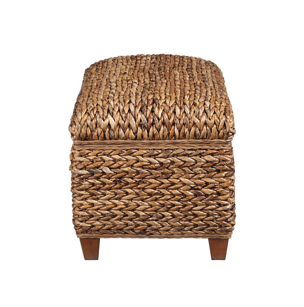 Laughton - Laughton Hand-Woven Storage Trunk Amber